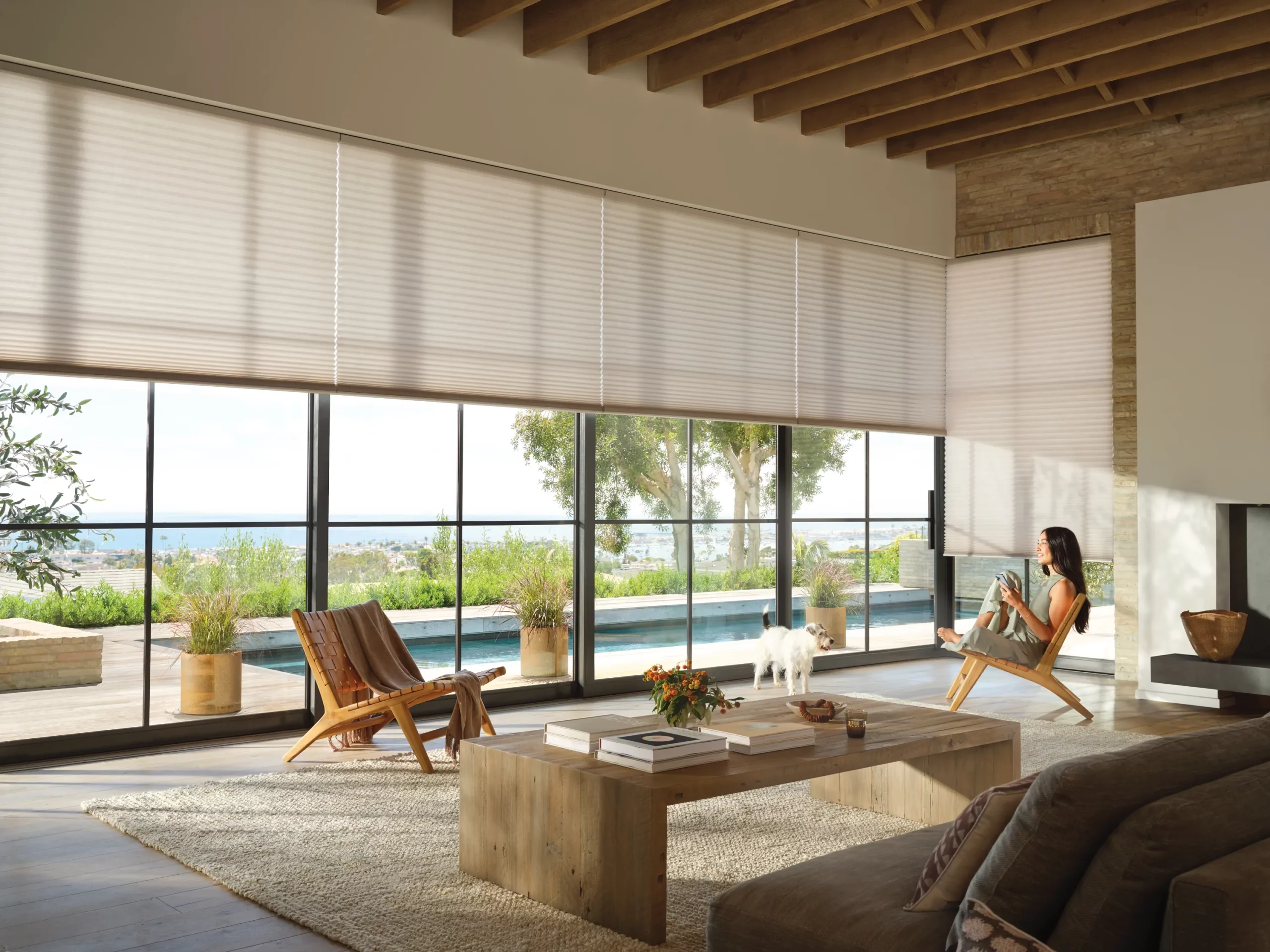 Hunter Douglas - Honeycomb Shades - Living room - Motorization 02